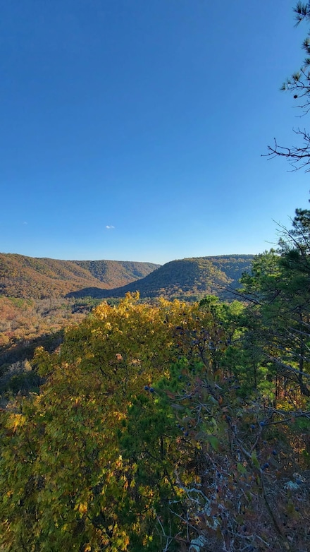 2388 Mcelroy Rd, Fox, AR 72051