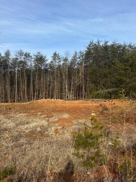 Lot 48 Dillon Cabin Rd, Moneta, VA 24121