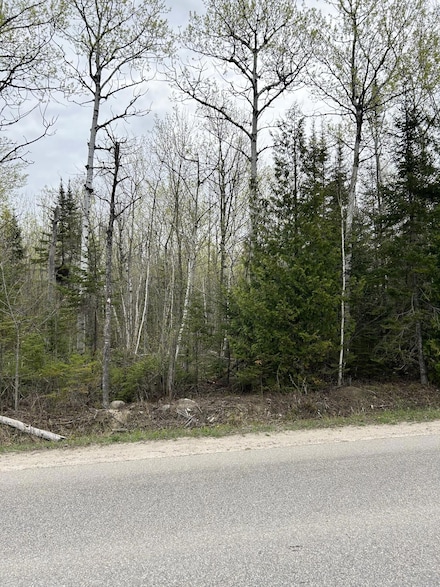 13496 Mackinaw Hwy, MacKinaw City, MI 49701