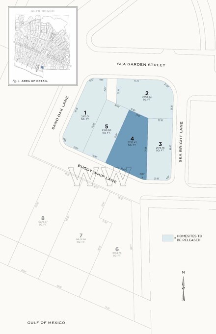 WW4 Buggy Whip Ln, Inlet Beach, FL 32413