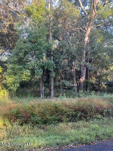 0 Dorothy St Unit 4127874, Ocean Springs, MS 39564