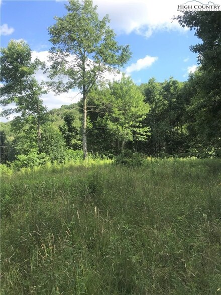 2040 Greer Town Rd, Lansing, NC 28643