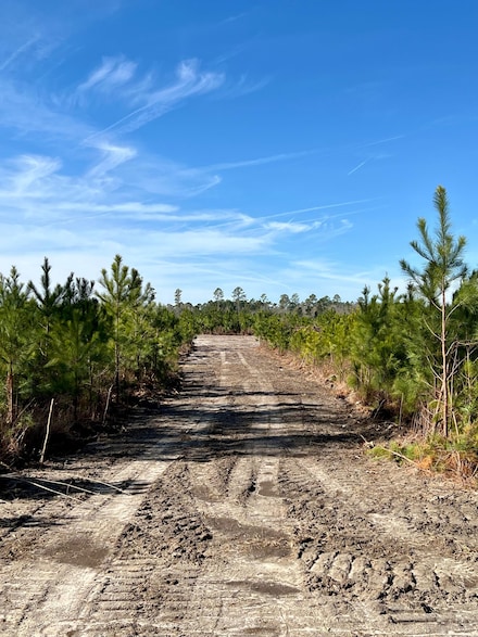 1004 Field Trial Rd, Camden, SC 29020