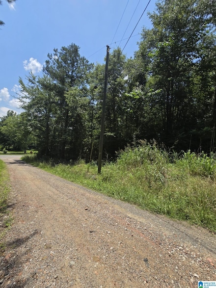 39 Thomas Rd, Cordova, AL 35550