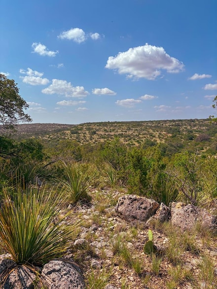 Lot 48 County Rd 410, Comstock, TX 78837