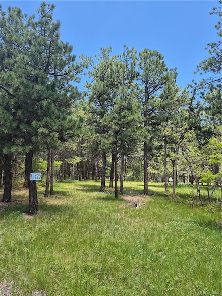 19420 Glencannon Way, Woodmoor, CO 80132