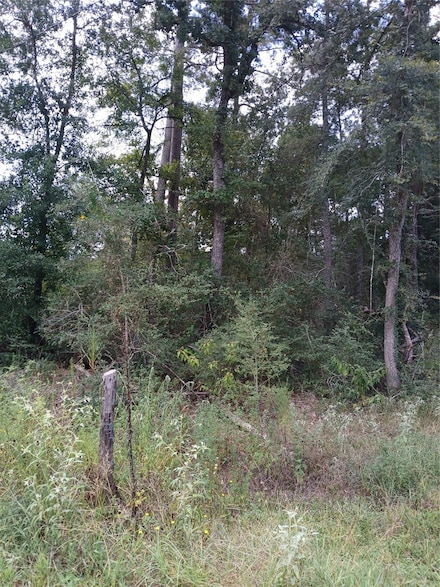 7886 Coral Bean, Pinebrook, TX 77363