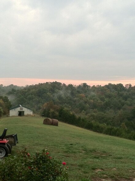 5717 State Highway 22, Falmouth, KY 41040