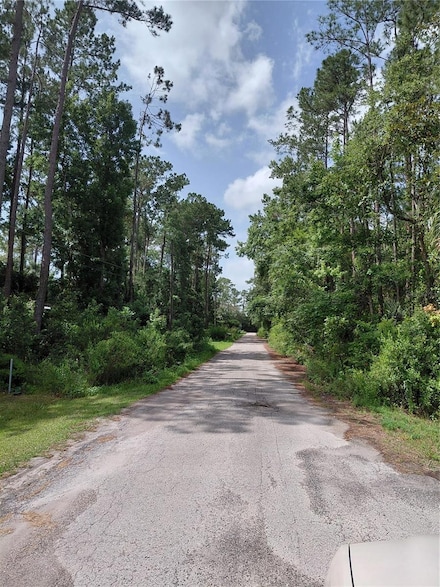 0 James St, Astor, FL 32102