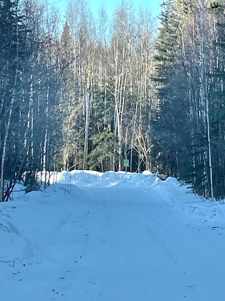 NHN Kiglowa Dr, Nenana, AK 99760