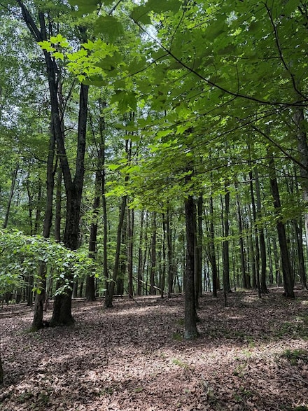 00 Stephens Ln, Walker Township, PA 16652