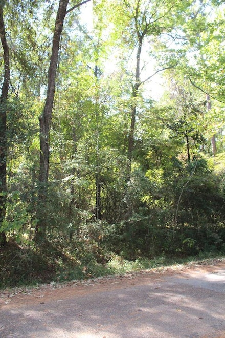 309 Commadore Dr, Hemphill, TX 75948