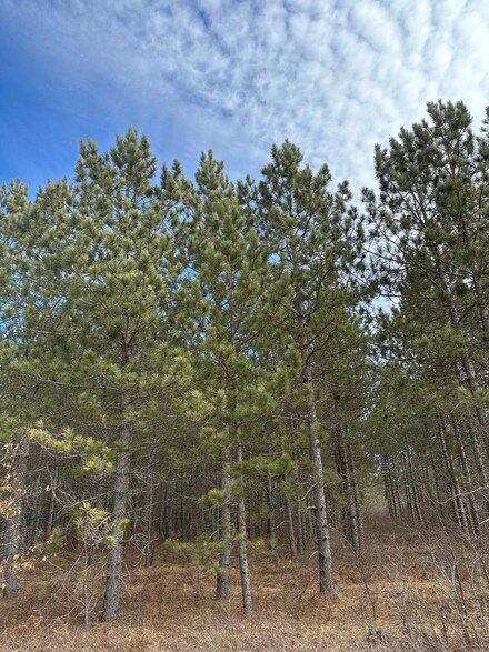 ON Cth Y Unit 2046, Tomahawk, WI 54487