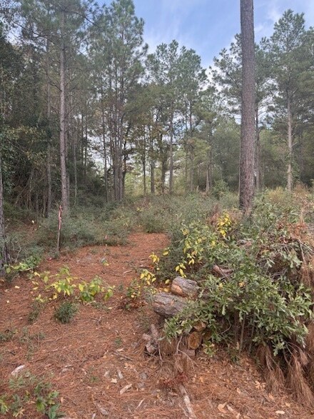 0 Basswood Ln, Plantersville, TX 77363