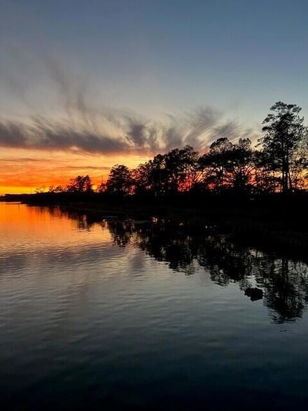 352 Blowing Fresh Dr, Cainhoy, SC 29492