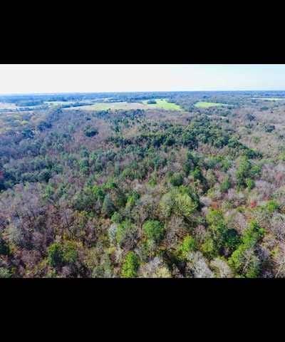 Hwy 90, Irvington, AL 36544
