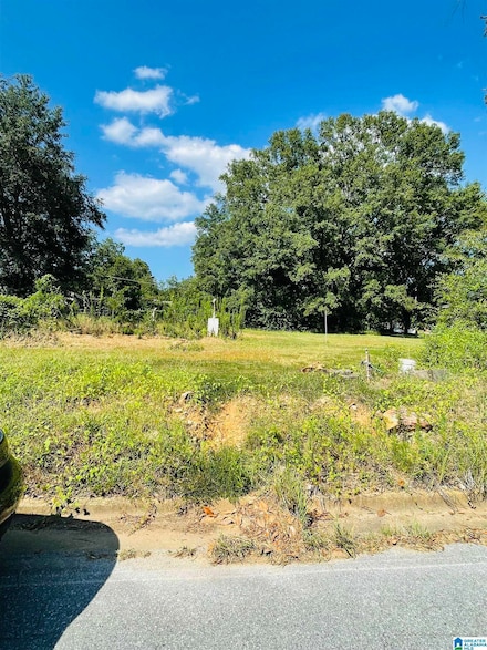 0 W Magnolia Dr Unit 16 21395376, Sylacauga, AL 35150