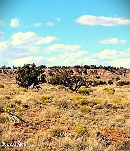 Lot 11 Carrizo Ranch -- Unit 11, Saint Johns, AZ 85936