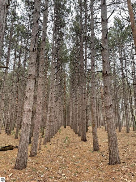 V/L Cherry Rd, Manistee, MI 49660