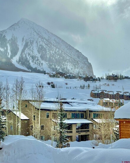 11 Hunter Hill Rd Unit 406, Crested Butte, CO 81225