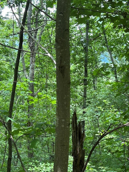 0 Ten Pointe Trail Unit 153169, Murphy, NC 28906