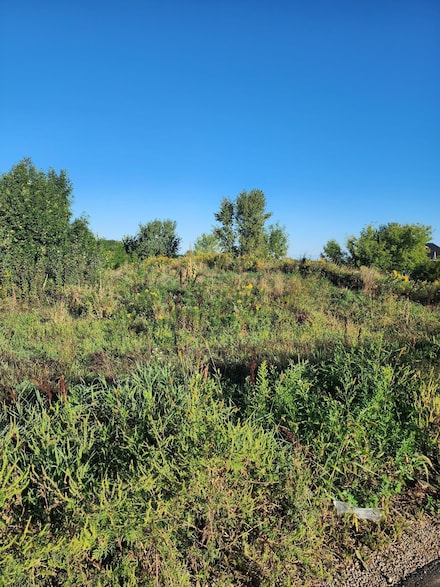 21264 Dorothy Way, Spring Lake Township, MN 55372