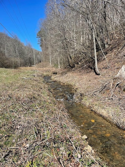 891 Bushy Head Rd, Cherry Log, GA 30522