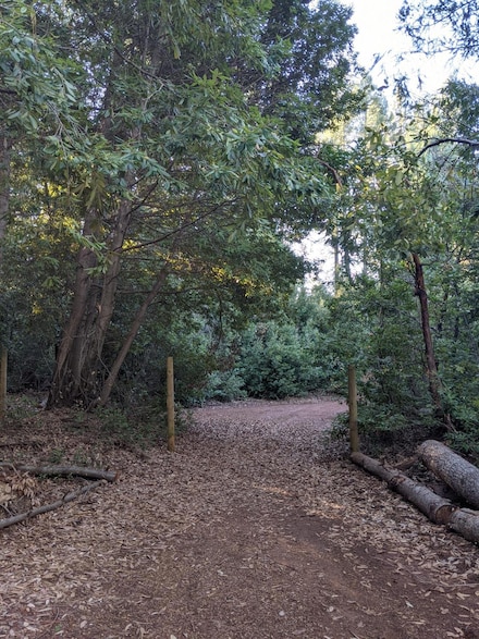 14221 Somerset Ln, Camptonville, CA 95922