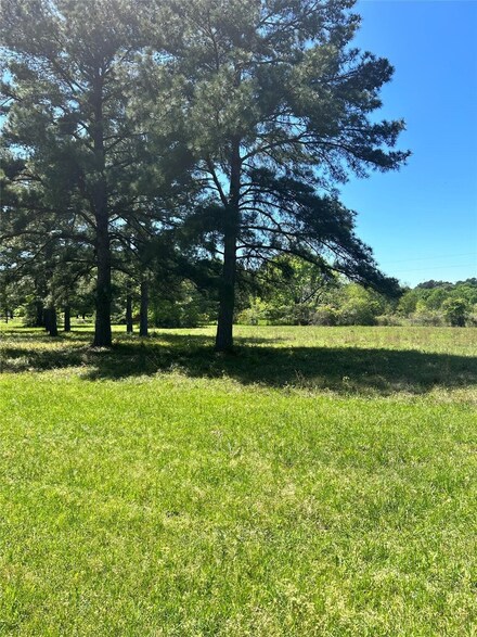 000 Kelly Rd, Magnolia, TX 77354