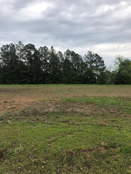 Lot 5 S Main St, Boston, GA 31626