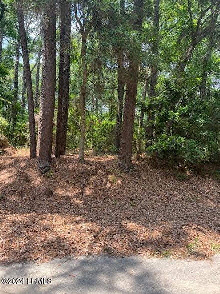 9 Woods Ln, Beaufort, SC 29907