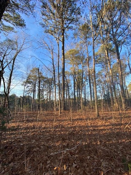 lot 11 Barnes Cir Unit 11, Parksley, VA 23421