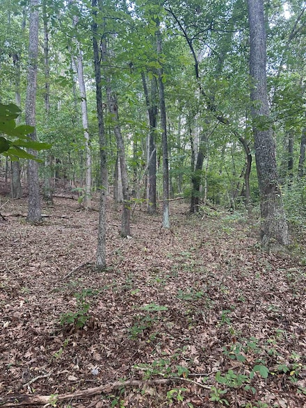 TBD Hoges Orchard Ln, Pembroke, VA 24136