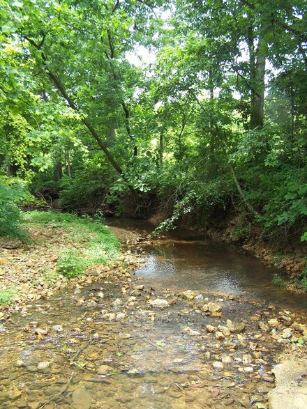 Cr. 115 804 Lummis Rd, Wasola, MO 65773