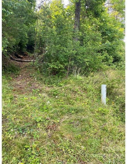 99999 Teague Rd, Leicester, NC 28748