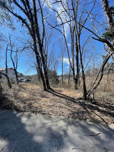 Lot 101 Geneva Ln, Morristown, TN 37813