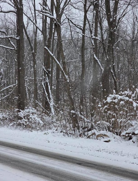 V/L 11th St, Plainwell, MI 49080