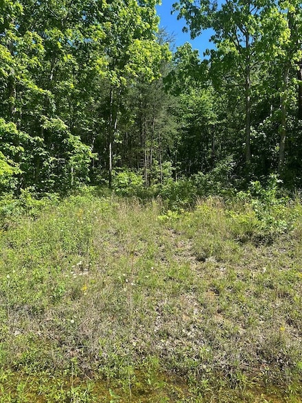 0 Hood Ln Unit 23582805, Wilder, TN 38589