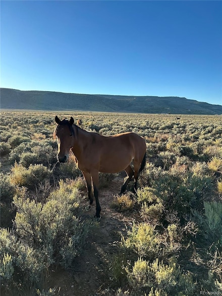 222 W Valley Dr, San Luis, CO 81152