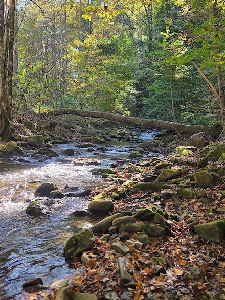 2 Lords Way, Andrews, NC 28901