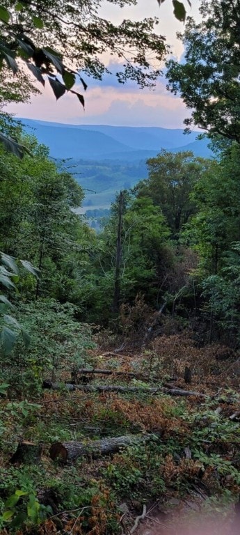 Lot 4 Hideaway Trail, Slaty Fork, WV 26291