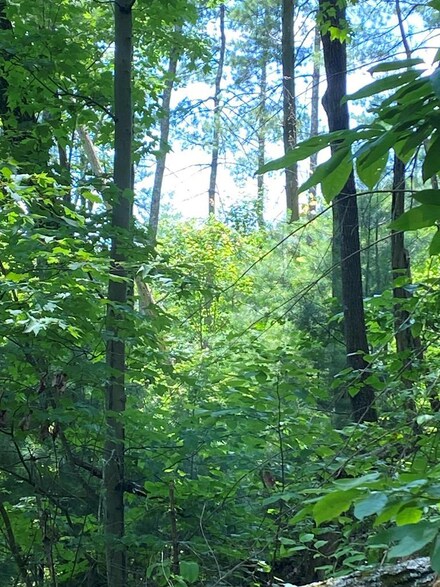L336 Brushy Top Rd, Ellijay, GA 30540