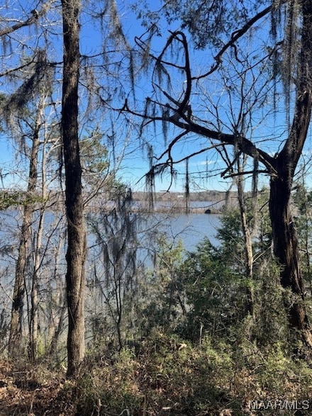 Lot 2 Prairie Bluff, Prairie, AL 36728