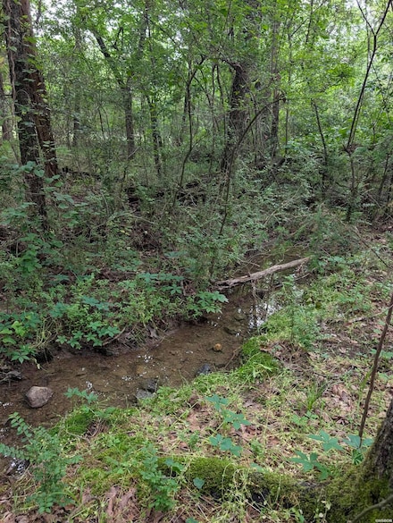 42 San Pablo Way, Hot Springs, AR 71909