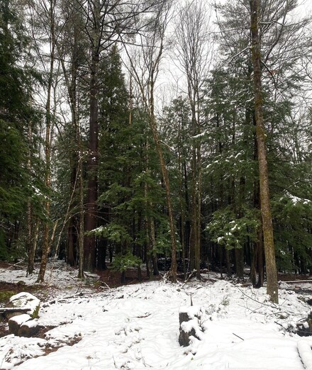 309 Maple St, Newport, NH 03773