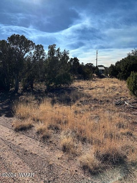 1858 &1860 Rainbow Cir, Show Low, AZ 85901