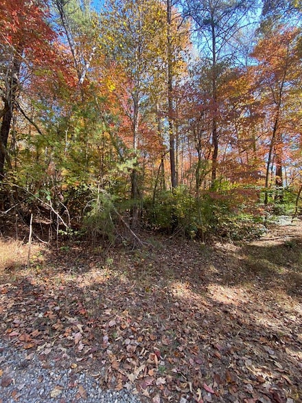 Lot 3 Sharons Valley Dr, Hayesville, SC 29804