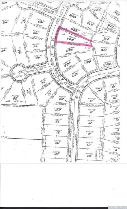 0 Blue and Purple Ct Unit 101752, Coxsackie, NY 12015