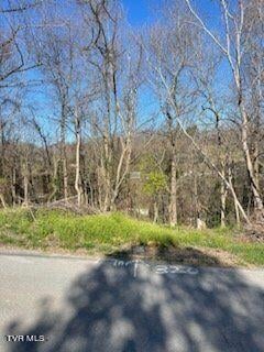 320 Blue Haven Dr, Kingsport, TN 37663