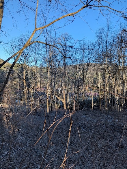 Lot A Hobnob Ln, Glenville, NC 28736